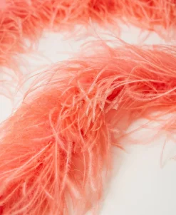 Étole MYFO Avec Plumes
